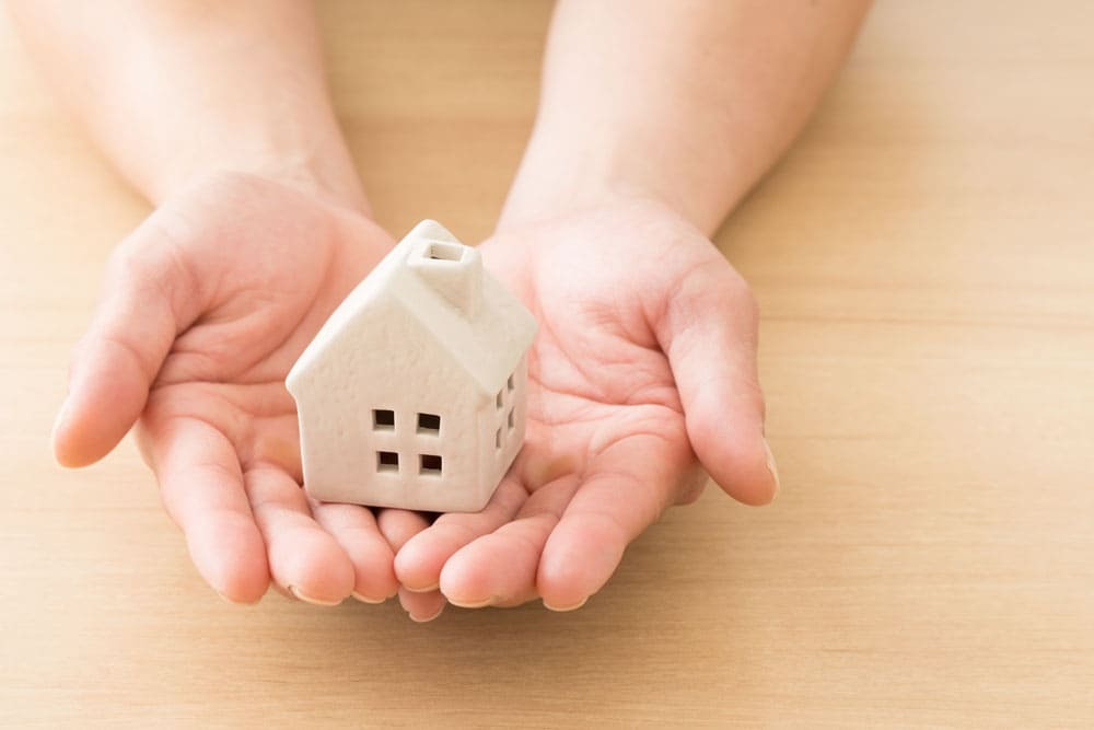 新しくHPを開設致しました